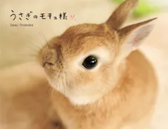 うさぎのモキュ様   /パイインタ-ナショナル/ＩｍａｉＴｏｍｏｋｏ（単行本（ソフトカバー））