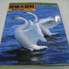 『動物大百科⑯ 動物の行動 P.J.B.ムスレイター編』日高敏隆