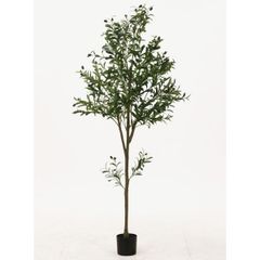 IKEA FEJKA 人工観葉植物 ベンジャミン フレーケンヴェクスト 鉢カバー