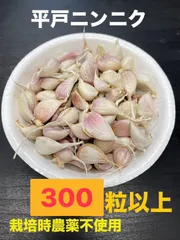 プロフィール必読！！です‼️ 鹿児島県産 乾燥 にんにく（平戸S）10kg 楽天市場】【1袋からお好きな数量を】乾燥にんにくスライス