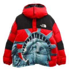 2024年最新】supreme north face baltoroの人気アイテム - メルカリ