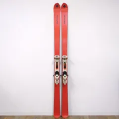 2025年最新】Vector glide cordovaの人気アイテム - メルカリ