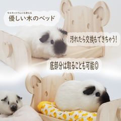 モルモット ハウス ベッド 木製 ケージ かわいい 牧草入れ 底なし かじる 安心 小屋 モルモット 小動物 用品 寝床