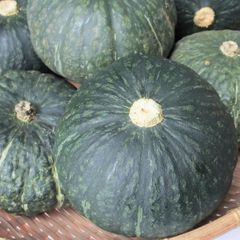 沖縄県産 栗かぼちゃ 約５キロ (5〜6玉)  沖縄島野菜