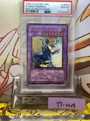 E・HERO テンペスター　レリーフ　PSA10 遊戯王 E・HERO テンペスター レリーフ psa10 PSA10鑑定済