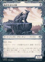 2025年最新】ドラコ Foilの人気アイテム - メルカリ