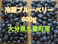 新鮮朝摘み 生ブルーベリー 6キロ 栽培期間中農薬不使用 - メルカリ