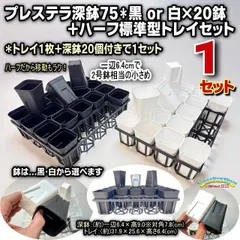 ミニプラ鉢専門店＊プレステラ深鉢75(硬質スリット深型ポット2号深鉢相当)黒・白20鉢＋四角型ハーフ標準型トレイセット×1セット＊多肉植物・塊根植物コーデックス・アガベ・サボテン・盆栽・観葉植物・ハオルチア・アデニウム・パキポディウム実生＠フラワーショップ江口のサムネイル