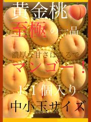予約商品　８月下旬～9月下旬にかけ順次発送予定　至極の一品。自信あり！濃厚な甘さはマンゴー以上！？黄金に輝く 木成り熟成・黄金桃