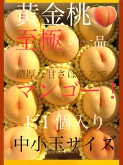 予約商品　８月下旬～９月下旬にかけ順次発送予定　至極の一品。自信あり！濃厚な甘さはマンゴー以上！？黄金に輝く 木成り熟成・黄金桃のサムネイル