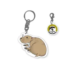 366日古生物キーホルダー 9月12日 エピガウルス　アクリルキーホルダー 恐竜 ディノ キッズ 誕生日 記念日 アニバーサリーキーホルダー