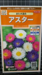 アスター おたき 種 ３袋セット