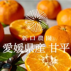 【産地直送】愛媛県八幡浜産 甘平 2kg