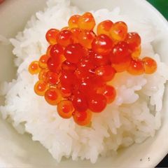 自家製筋子味噌漬け150g