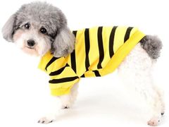 개복 애완 동물 옷 산책 소형 개 외출착 봄 여름 가을 R912