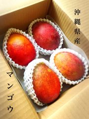 クール便 送料込❣️沖縄県産 マンゴー 1.1キロ