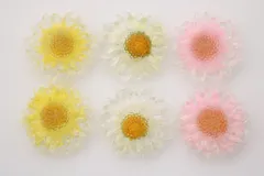 2025年最新】ドライフラワー レジン カボションの人気アイテム - メルカリ 