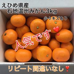 えひめ県産　石地温州みかん3kg　小さめ　みきゃん箱入