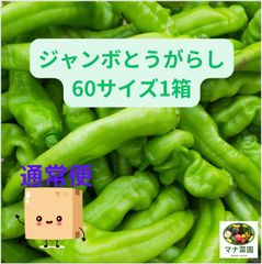 🌶´-ジャンボとうがらし🌶️60サイズの箱にいっぱいお詰めします🎵🥗マナ菜園🥗通常便📦