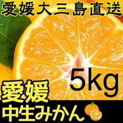 愛媛県大三島産のみかん（ご家庭用）5kg