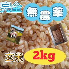 農薬不使用  化学肥料不使用  自然農法  自然栽培米  新米  玄米