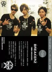 【BREAKERZ】会報 2025年最新】Yahoo!オークション -breakerz会報の中古品・新品・未使用