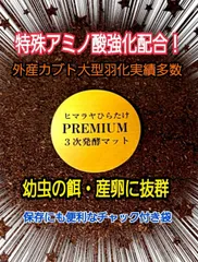 2024年最新】オオクワ メスの人気アイテム - メルカリ