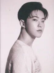 SEVENTEEN ONE SIDE HOSHI Your Choice 白青