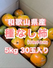 和歌山県産　たねなし柿(刀根早生柿)　5kg 30玉入り　サイズ混合　訳アリ 家庭用　送料込み　109