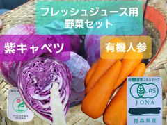 【令和６年も販売します❗】自然栽培×有機栽培　ジュース等にオススメ　野菜セット