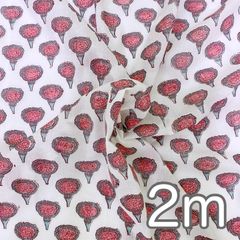 【2m/2,000円(送料込)】インド産ハンドブロックプリント生地 NHB114