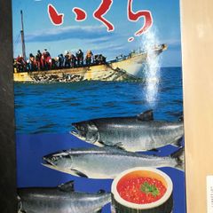 メルカリde北海道塩いくら鮭卵 特特特1キロ 木箱×2