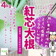 紅芯大根　低農薬・化学肥料不使用　埼玉県産　４kg　※サイズが小さいものも入ります。紅みに個体差があります。葉は切ってあります。ご了承の上お買い求めください。