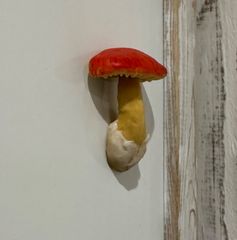タマゴダケのマグネット