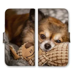 Galaxy A55 5G SC-53E ケース 手帳型 ギャラクシー A55 スマホケース 携帯ケース チワワ ちわわ 犬 わんちゃん 仔犬 ロングコート 動物 ペット 可愛い かわいい 写真 カラー04