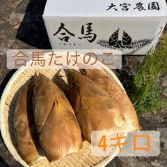合馬たけのこ　4キロ