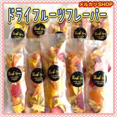 ★ドライフルーツフレーバー10本★バレンタインギフト 自然の果甘100% いちご♪りんご♪キウイ♪パイナップル♪ 砂糖不使用‼︎ ケーキやヨーグルトのトッピング！シリアルに入れて！お祝いやプレゼントに♪