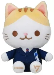 2025年最新】seventeen ぬいぐるみ 服の人気アイテム - メルカリ