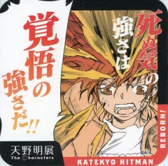 【中古】コースター 沢田綱吉(家庭教師ヒットマンREBORN!) 「天野明展 The Characters 『天野明展』アートコースター」