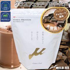 ホエイプロテイン100 チョコレート風味 (乳酸菌入り) 1kg