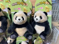 2025年最新】エバーランド パンダの人気アイテム - メルカリ