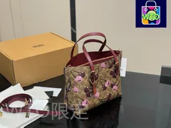 【今日特価】COACH Mollie Tote スモール 25×20cm-WT0輸入