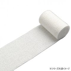 Item thumbnail for item b23b5722-5616-40c9-8576-aa5227ddf69a