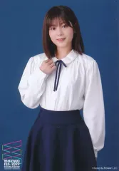 【中古】生写真(乃木坂46) 尾関梨香/上半身・エキセントリック MV衣装/尾関梨香 欅坂46衣装ランダム生写真