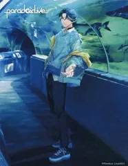 Paradox live キャンバスアート TCWセット Paradox Live SHOWDOWN オフショット キャンバスアート