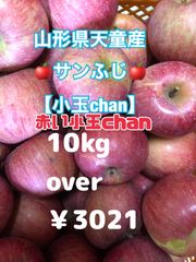 りんご山形県天童産【サンふじ小玉chan】10kgover
