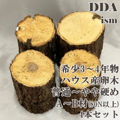 【DDA】希少3～4年物 ハウス産卵木 普通～やや硬め A～B材(80N以上) 4本セット dda クワガタ 産卵木 クヌギ コナラ