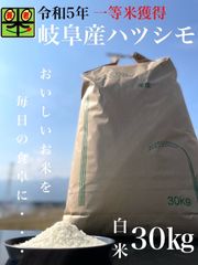 沖縄の方用　令和5年産　ハツシモSL 一等米　30kg 玄米or白米