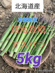 北海道グリーンアスパラ5kg