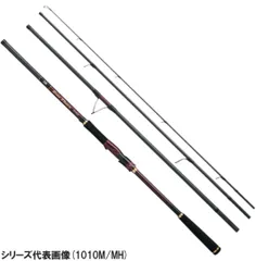 大きな割引 ダイワ オーバーゼア 109MH seabass HunterX90ML